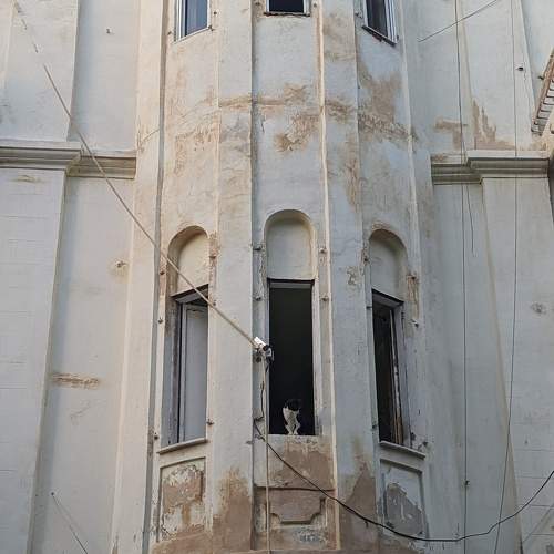 Photo #10004211
