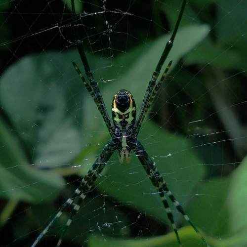Photo #10004232