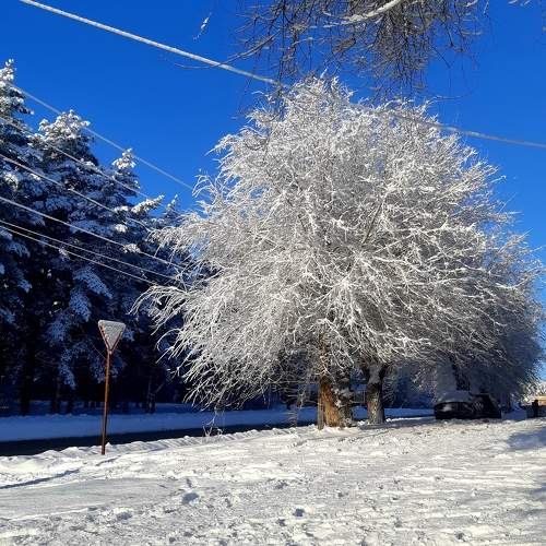 Photo #10004812