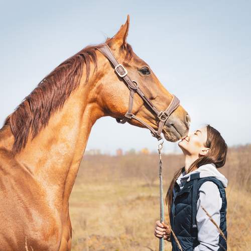 Photo #10004853