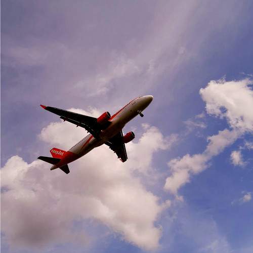 Photo #10004920