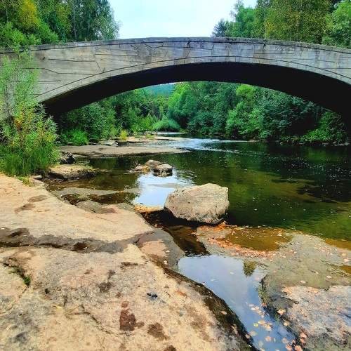 Photo #10005261