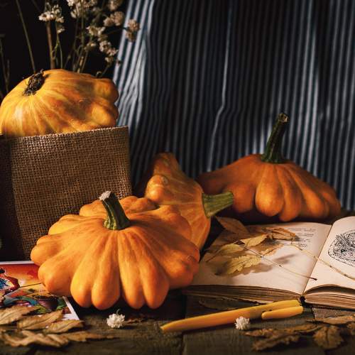 Photo #10005627