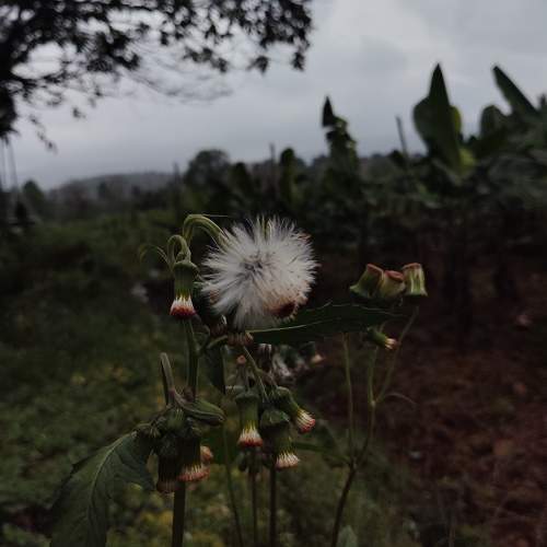 Photo #10005716
