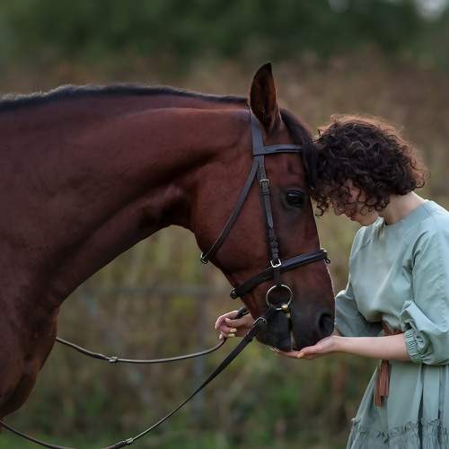 Photo #10005730
