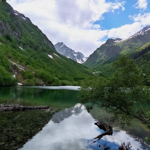 Photo #10006002