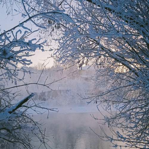 Photo #10006119