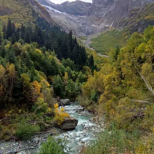 Photo #10006357