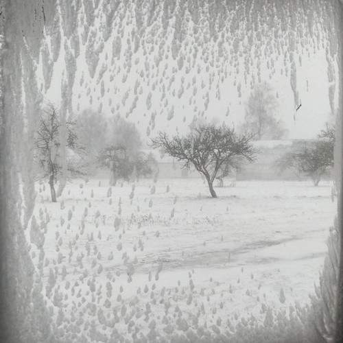 Photo #10006638