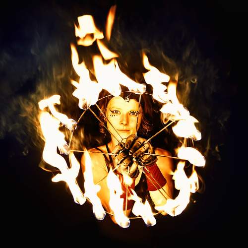 Photo #10007232