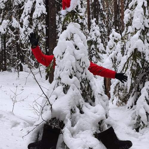 Photo #10007665