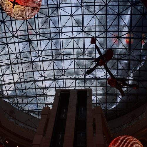 Photo #10007726