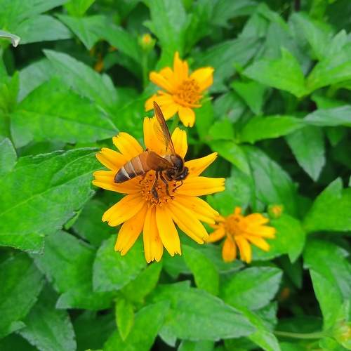Photo #10007764