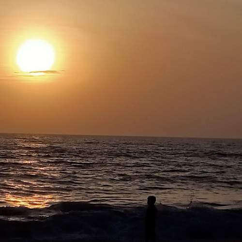 Photo #10007766