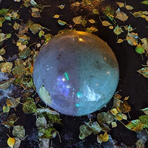Photo #10008334