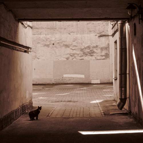 Photo #10008369