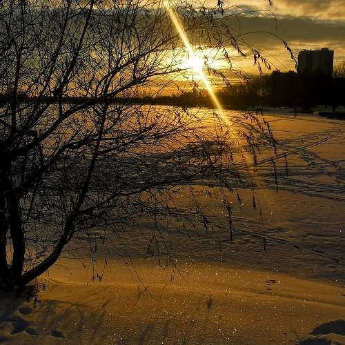 Photo #10008374