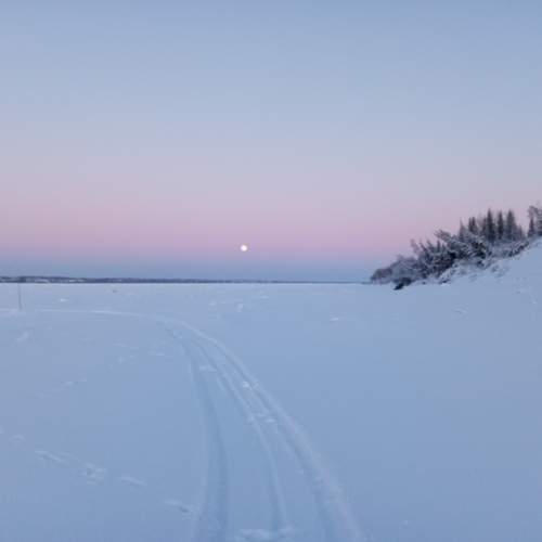 Photo #10008861