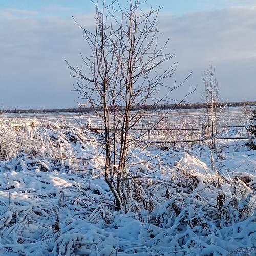 Photo #10008864
