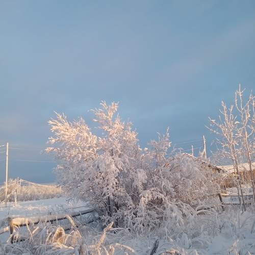 Photo #10008867
