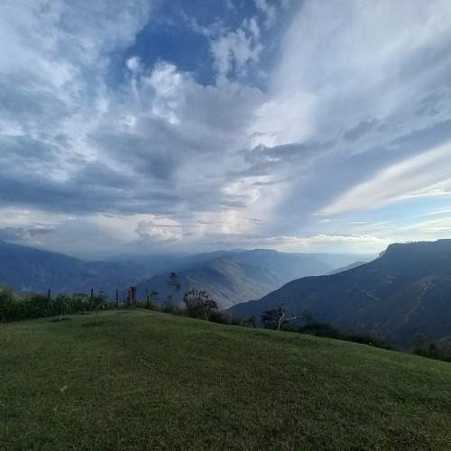 Photo #10008929
