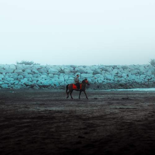 Photo #10008951