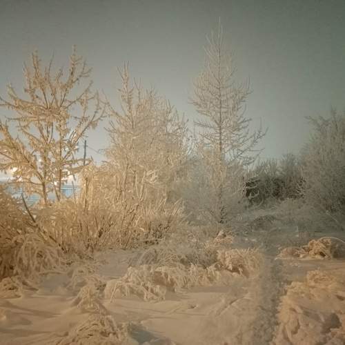 Photo #10009119