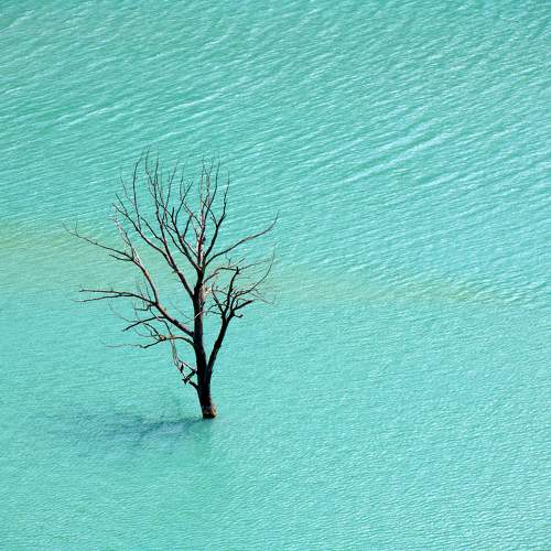 Photo #10009484