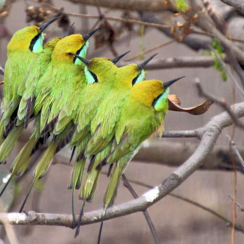 Photo #10009615
