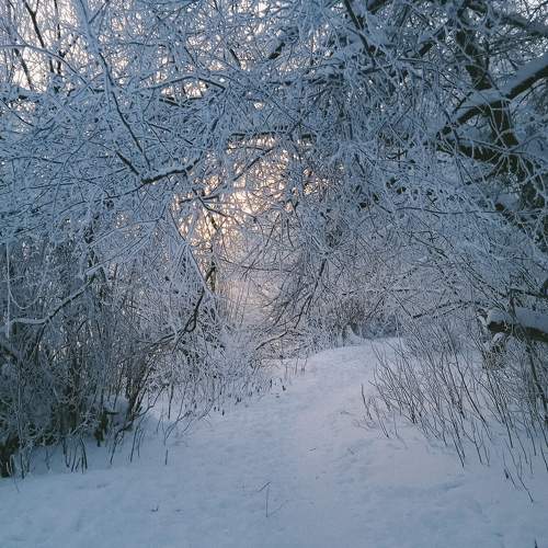Photo #10009727
