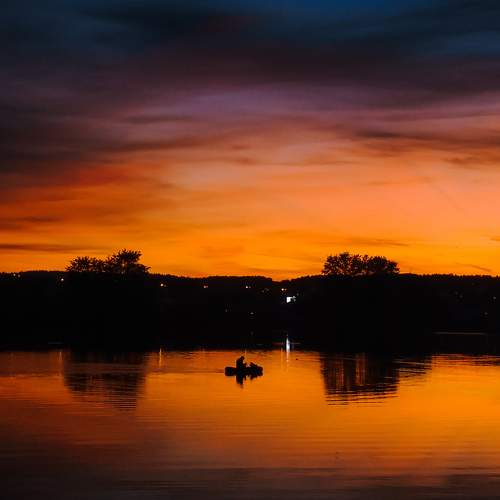 Photo #10009750