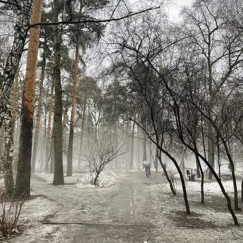 Photo #10009781