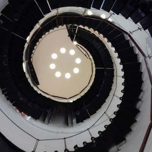 Photo #10009938