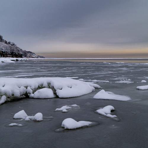 Photo #10010021