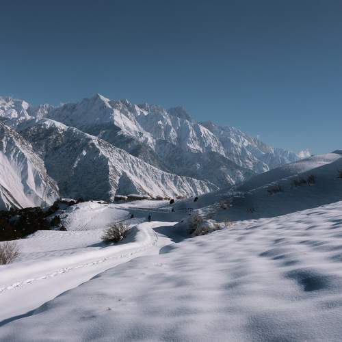 Photo #10010088