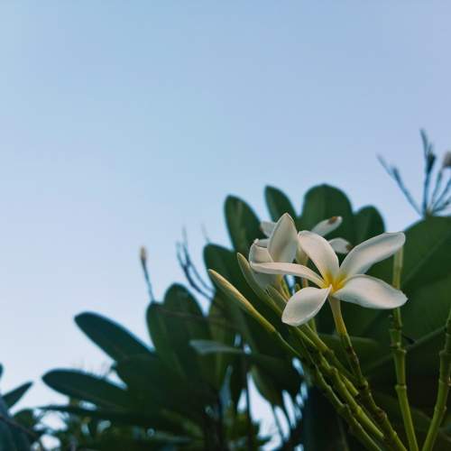 Photo #10010124