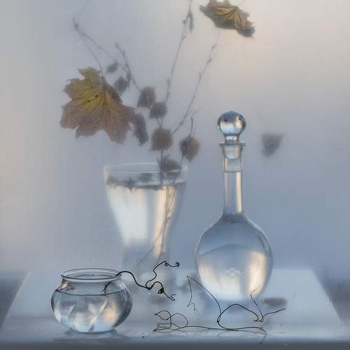 Photo #10010152