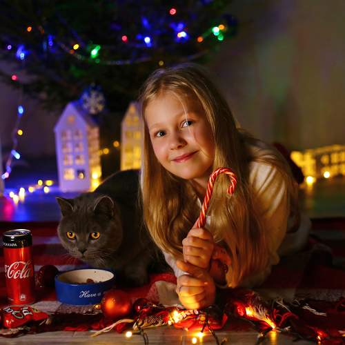 Photo #10010343