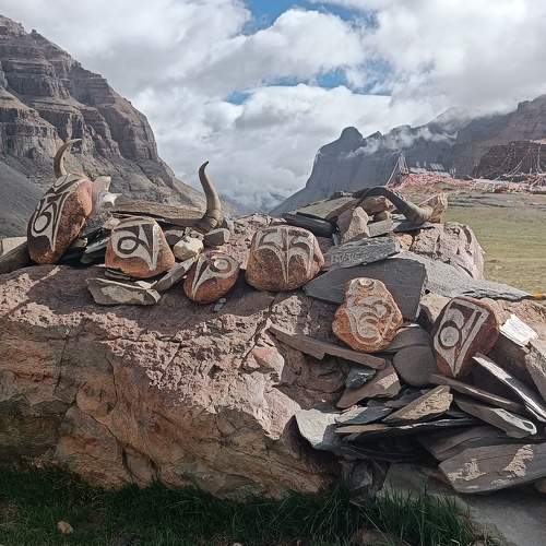 Photo #10010528