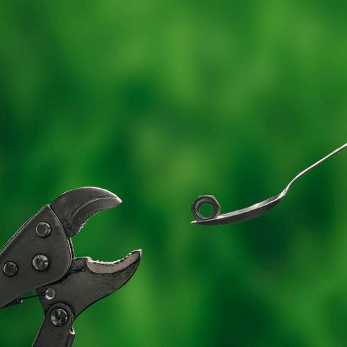 Photo #10010551