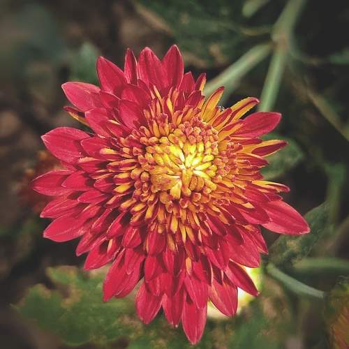 Photo #10010600