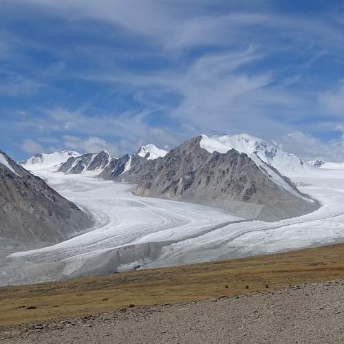 Photo #10010661