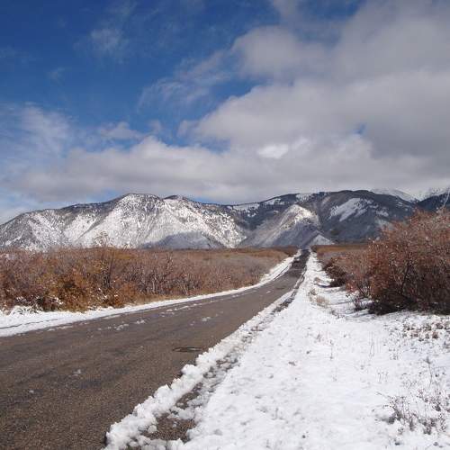 Photo #10010668