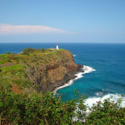Photo #10010676