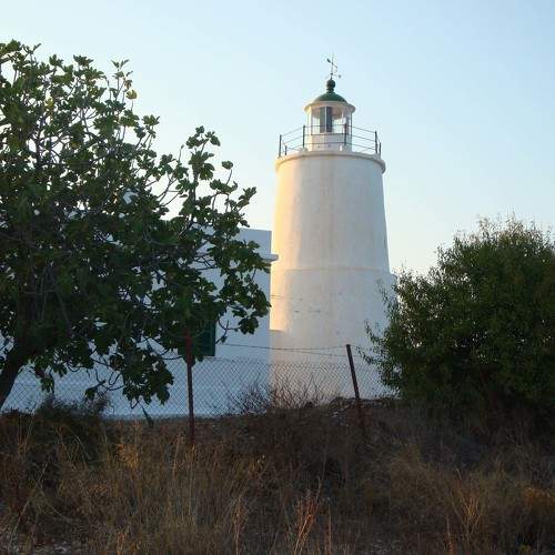 Photo #10010680