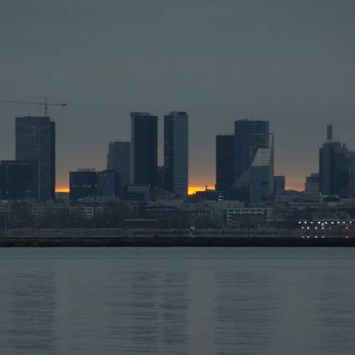Photo #10010876