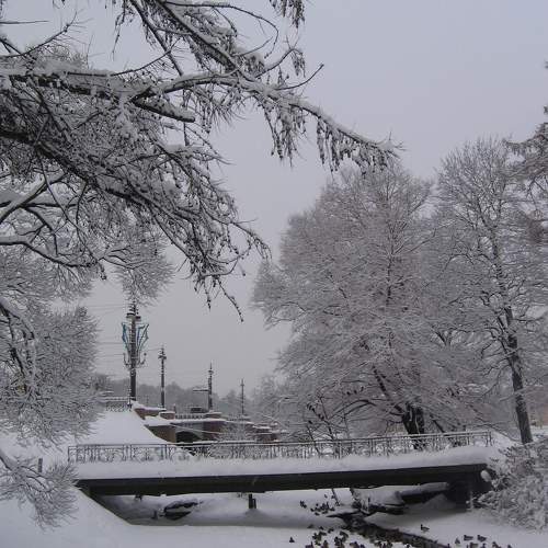 Photo #10010970