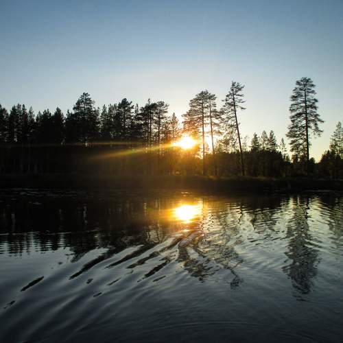 Photo #10010995