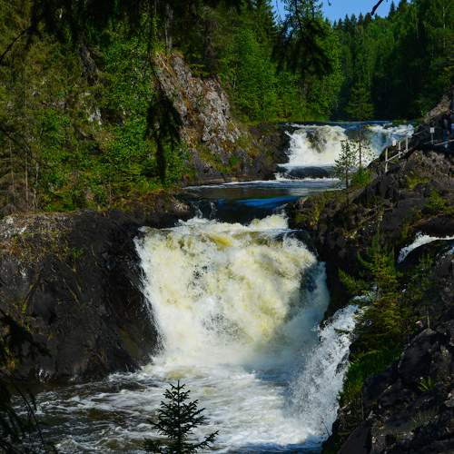Photo #10011016