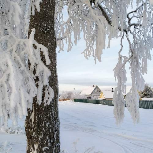 Photo #10011213